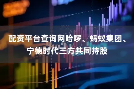 配资平台查询网哈啰、蚂蚁集团、宁德时代三方共同持股