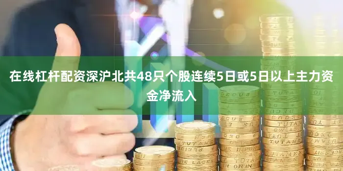 在线杠杆配资深沪北共48只个股连续5日或5日以上主力资金净流入