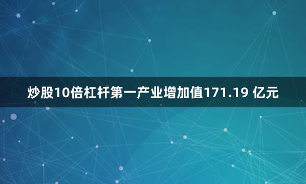 炒股10倍杠杆第一产业增加值171.19 亿元