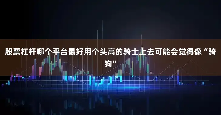 股票杠杆哪个平台最好用个头高的骑士上去可能会觉得像“骑狗”